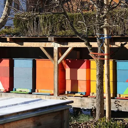 Bliem * Altenmarkt im Pongau