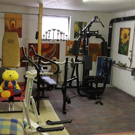 Bliem Apartment *