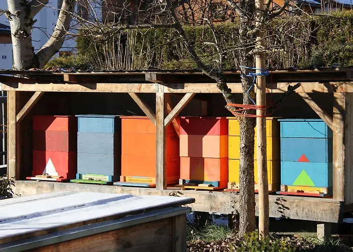 Bliem * Альтенмаркт (Понгау)